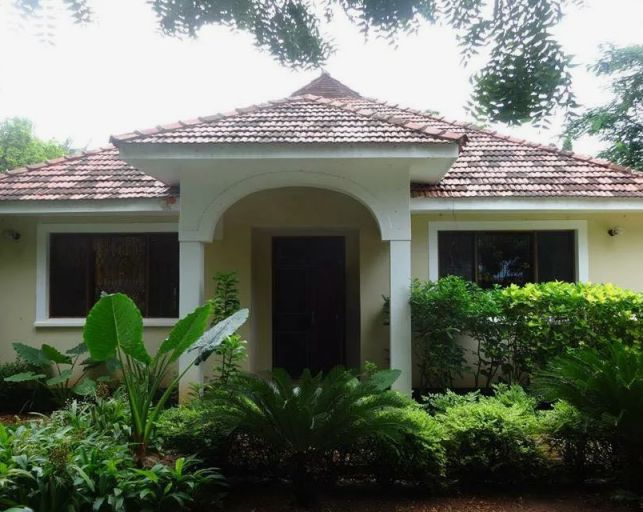 Rumah 1 Lantai Gaya Tropis