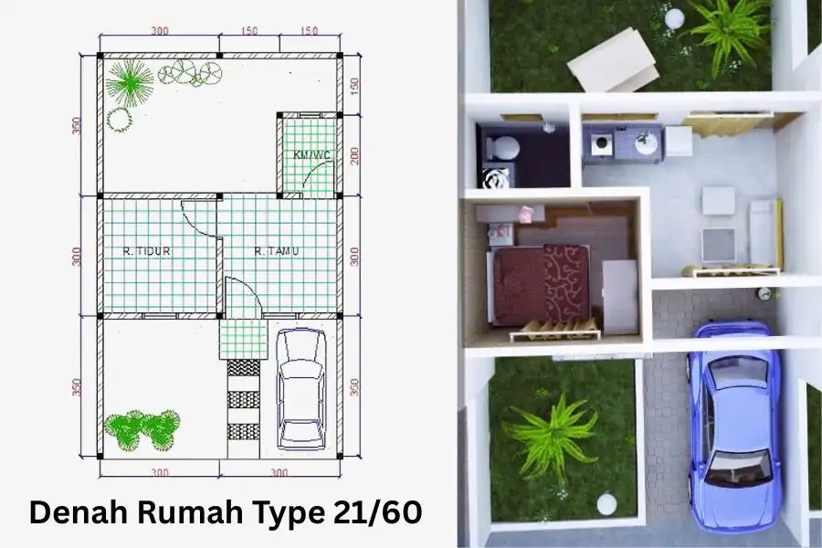 Denah Rumah Type 21/60 1 Lantai