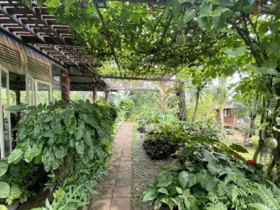 Taman Depan Rumah Nuansa Alami Desa